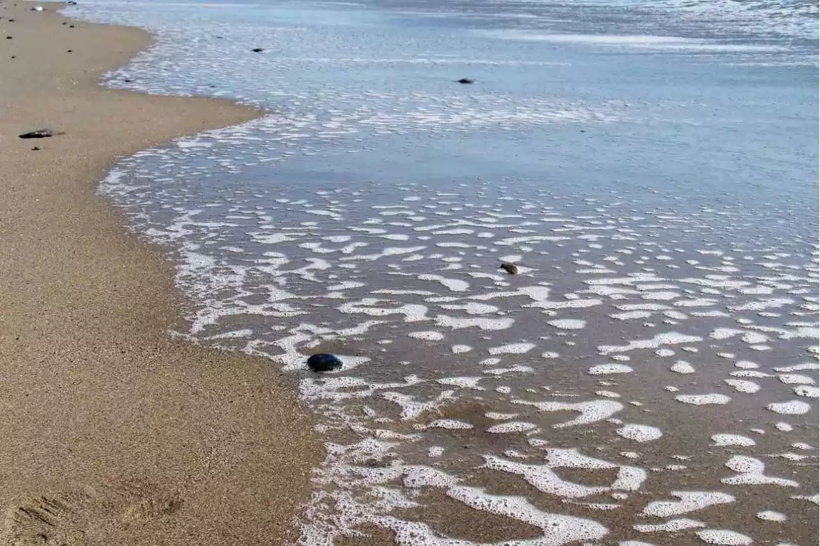Playa del Río Castor