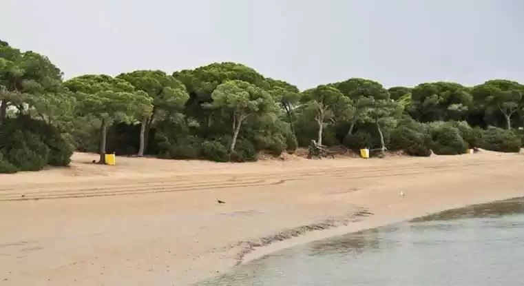 Playa del Conchal
