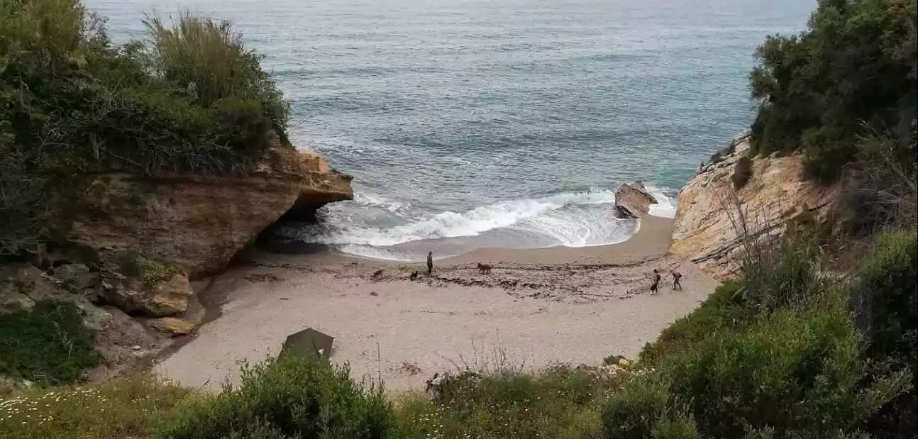 Playa Lobo Marino
