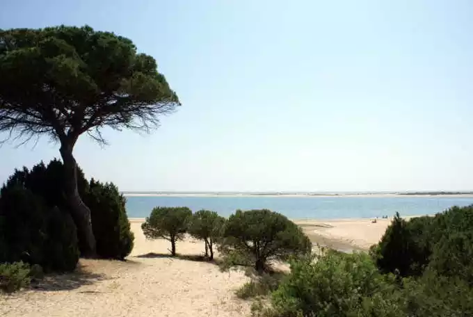Caño de la Culata