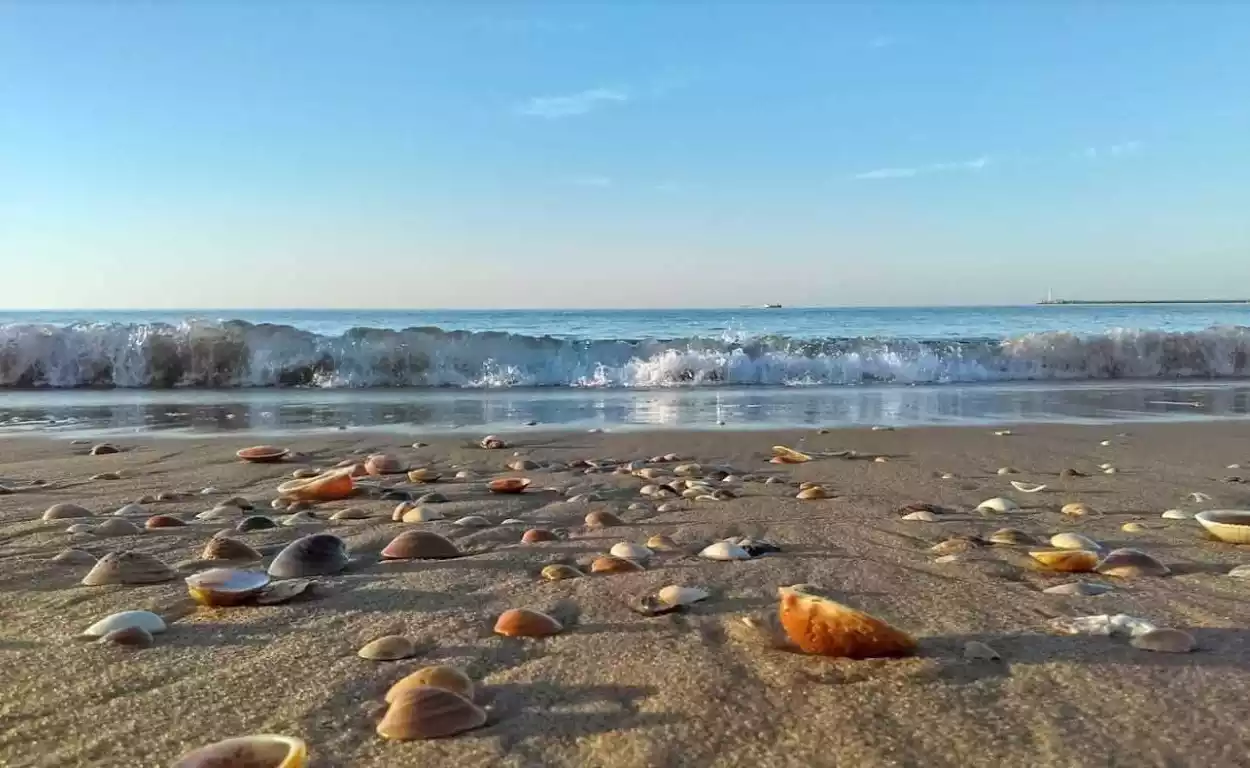 Playa del Remo