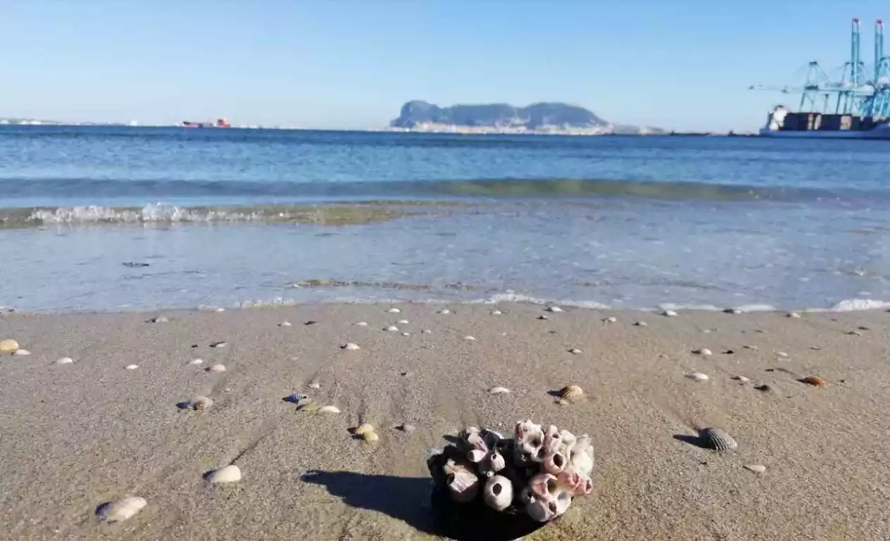 Playa de la Concha