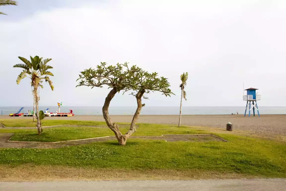 Playas de La Cala del Moral