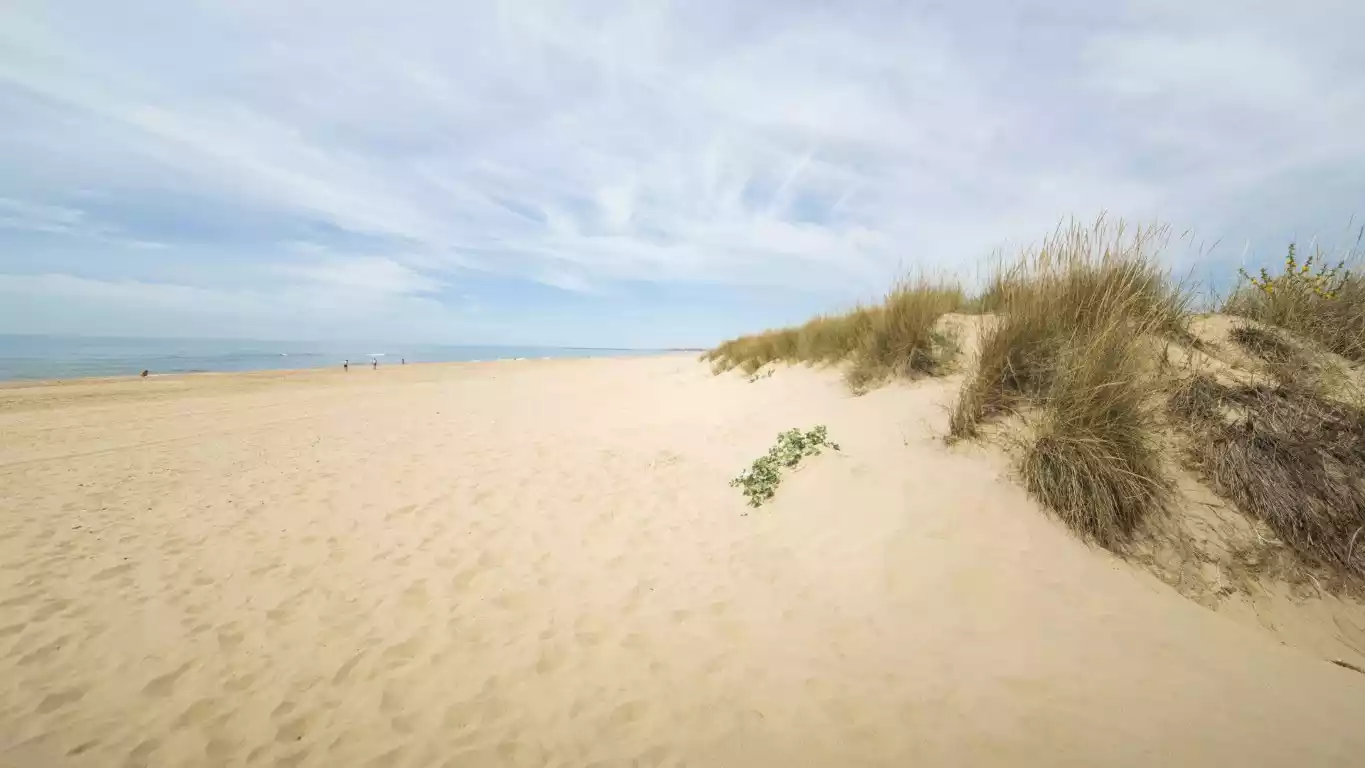 Playa del Hoyo