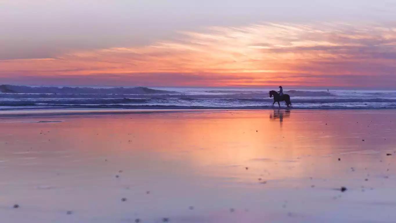 Playa de El Palmar