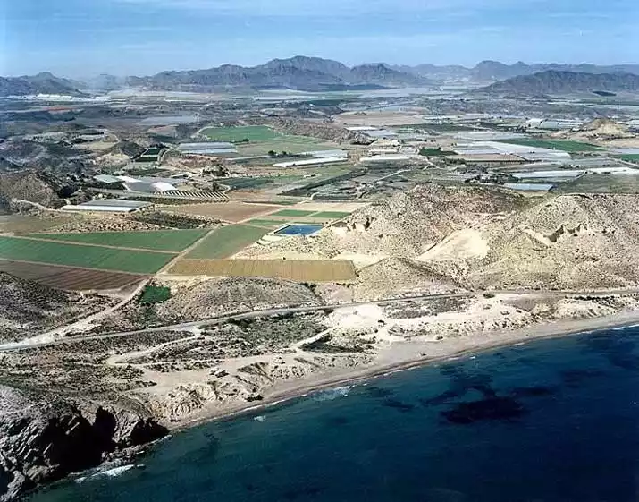 Playa las Palmeras