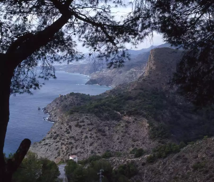 Playa de Maro