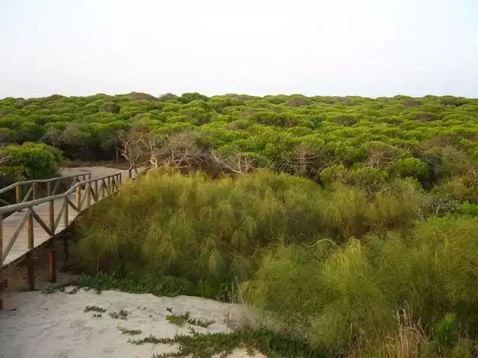 Playa de Punta Candor