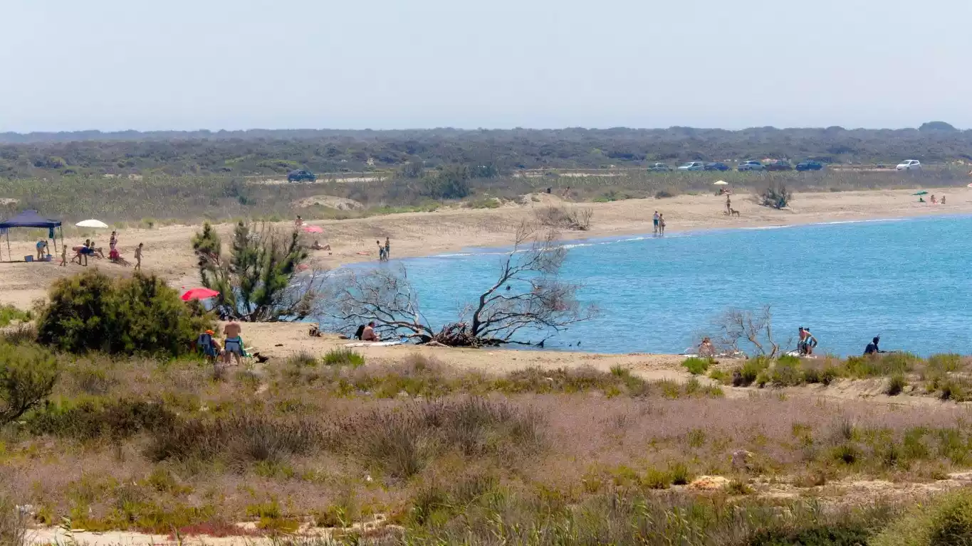 Playa de Punta Entinas-Sabinar
